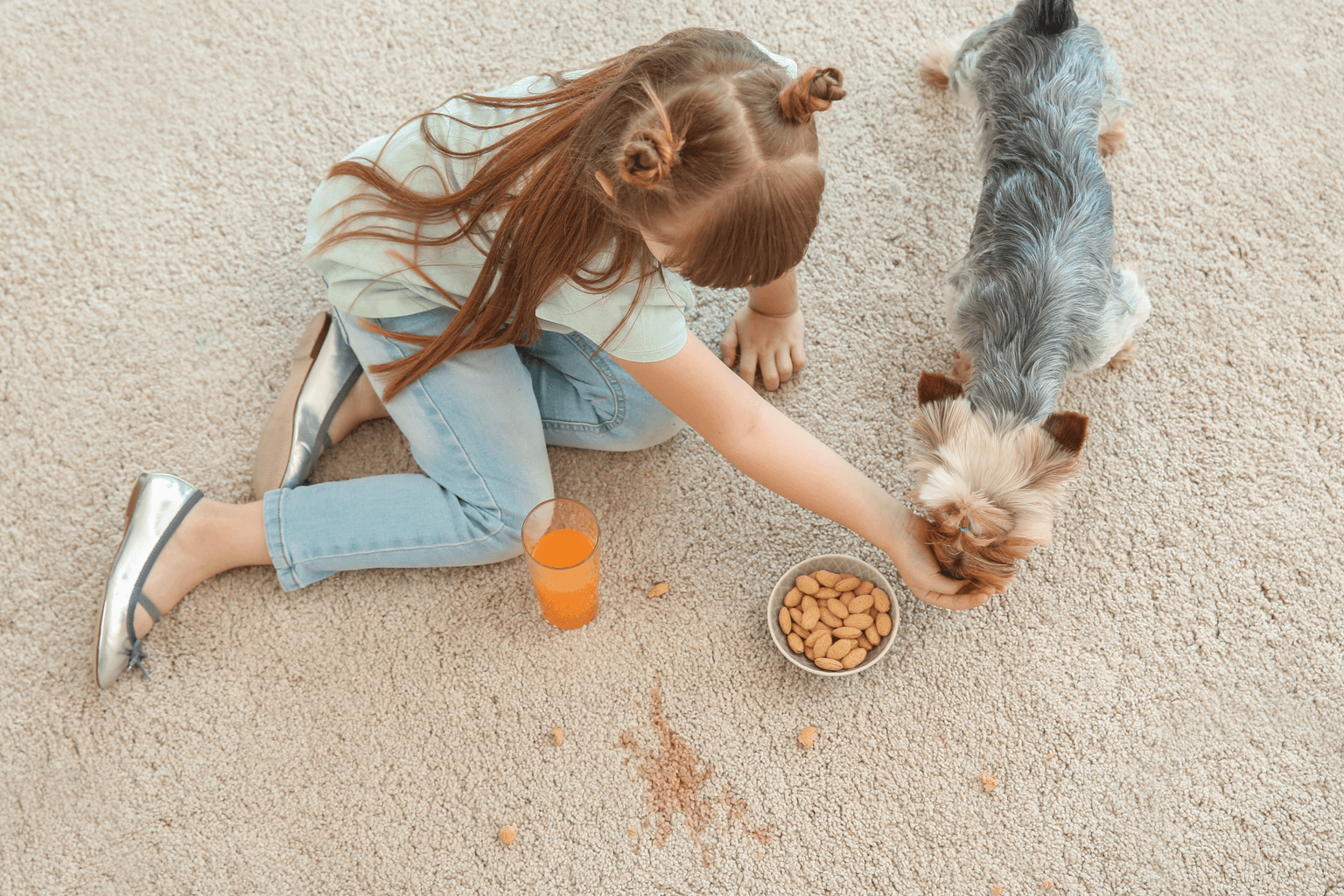 Carpet cleaning in Hurst, TX