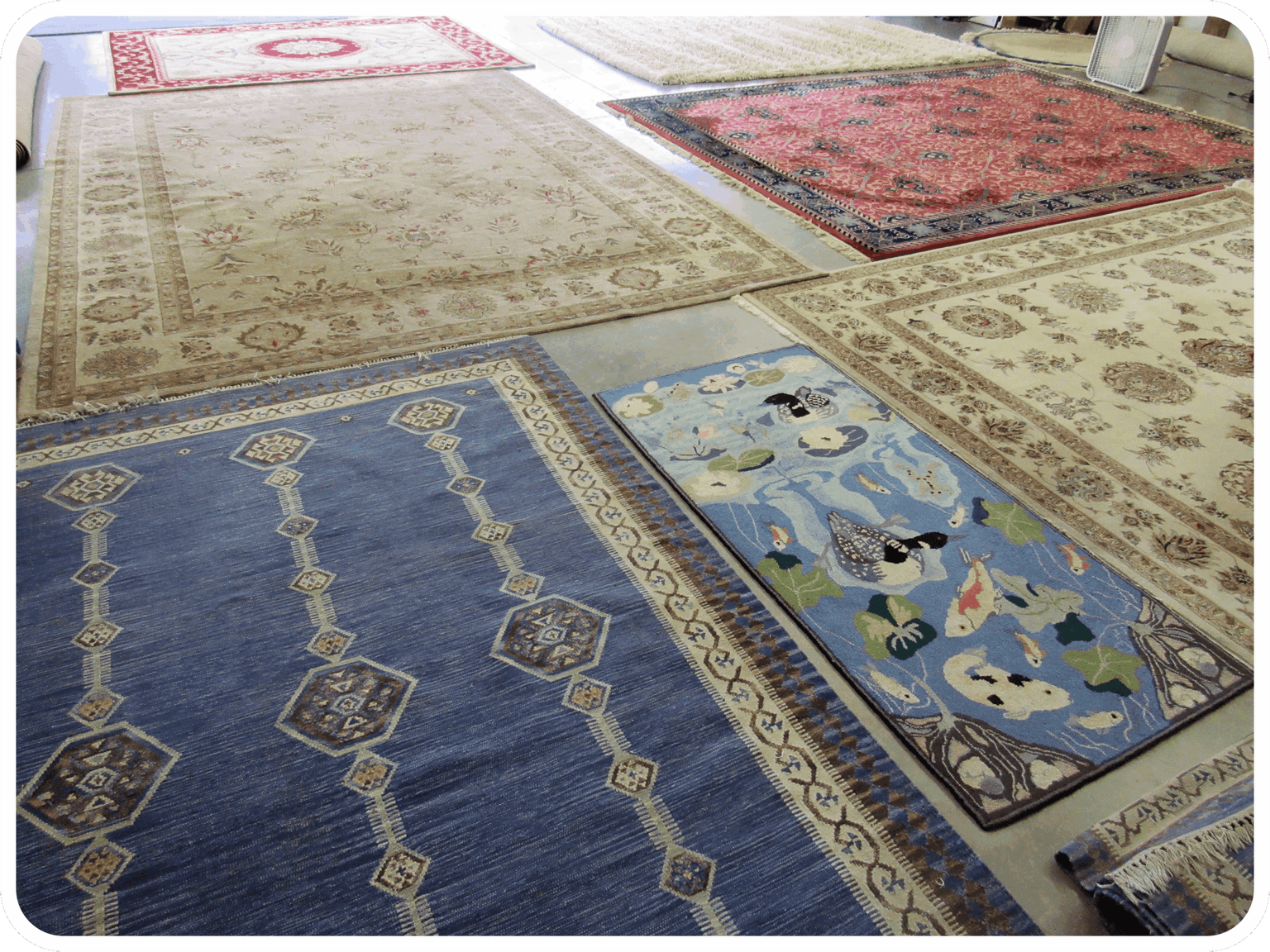 Carpet cleaning in Saginaw, TX