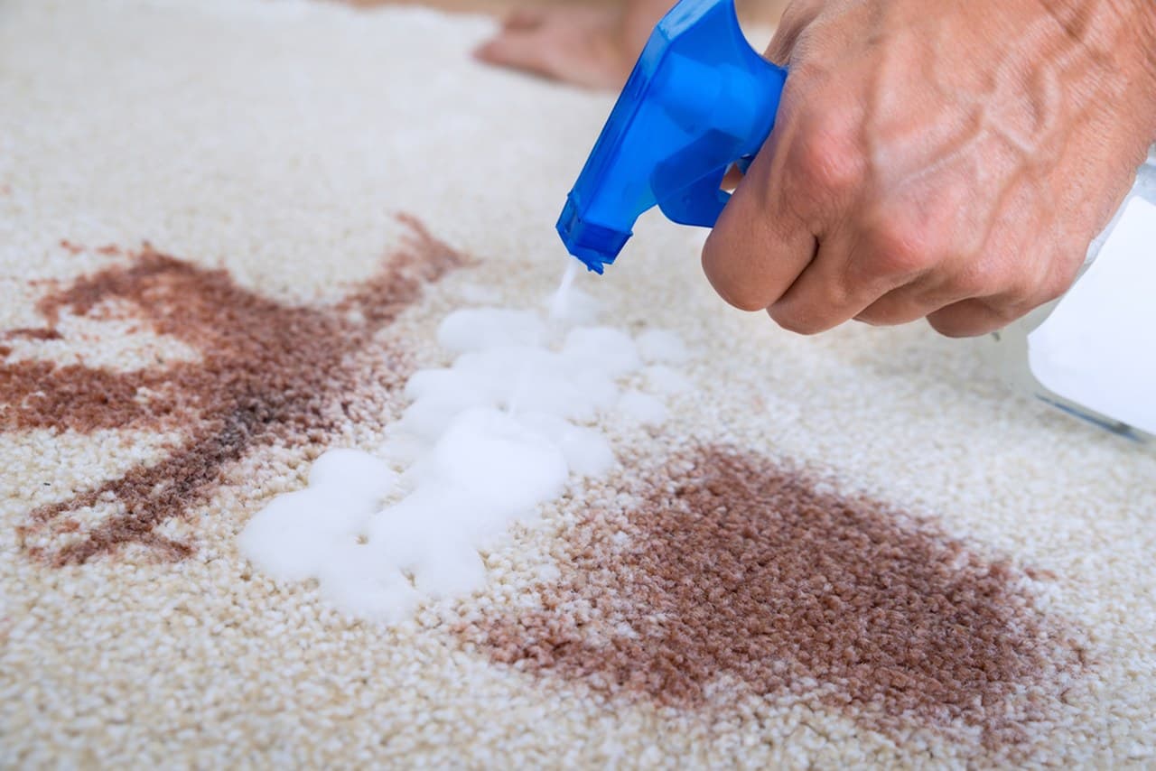 How to Remove Coffee Stains From Carpet