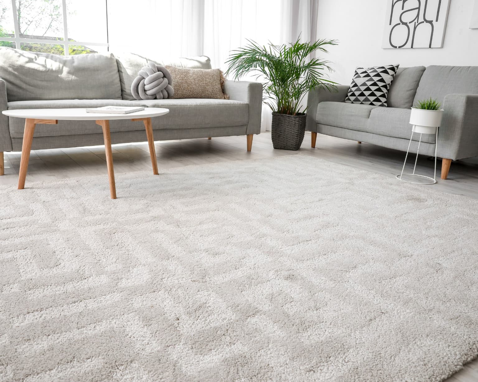 Area Rug Cleaning in Fort Worth, TX