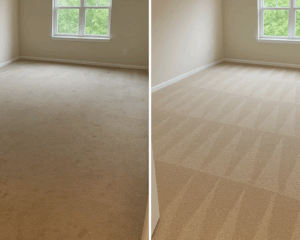 Best Residential Carpet Cleaning