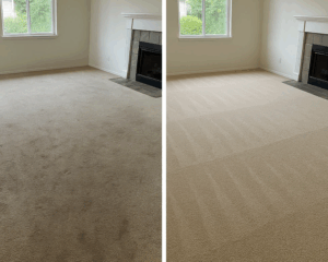 Best Residential Carpet Cleaning