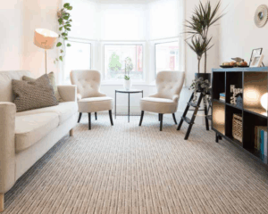 Modern home with clean carpet