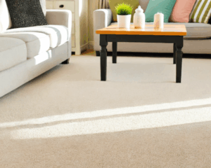 Modern home with clean carpet