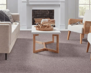 Modern home with clean carpet
