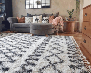 Modern home with clean carpet