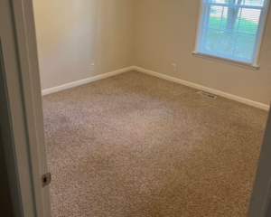 Customer Review in FT worth