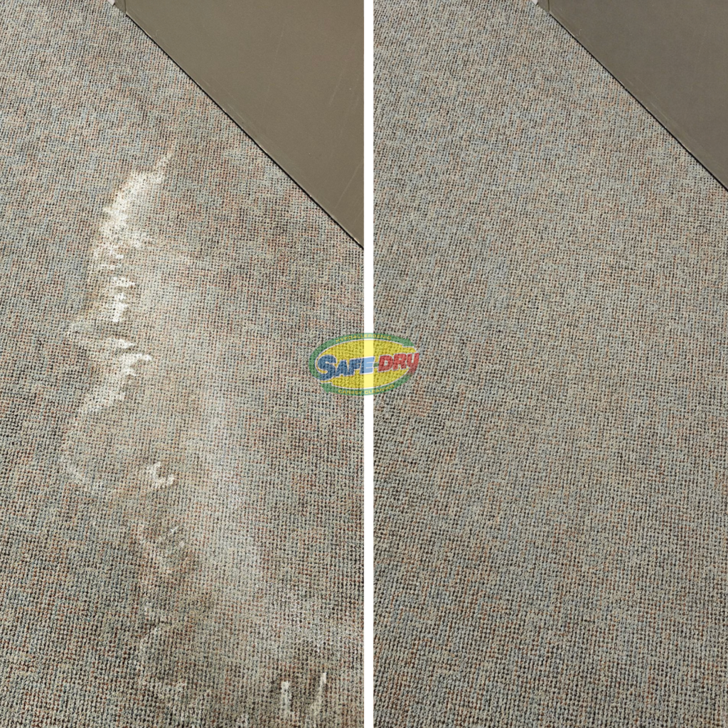 Before and After Carpet Cleaning